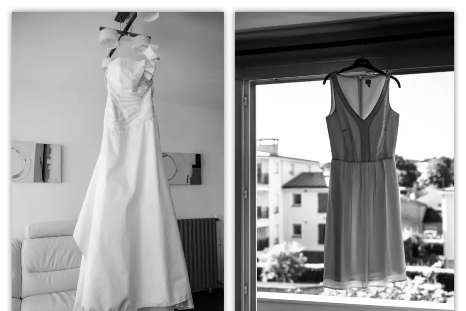 Reproduction — photo 4