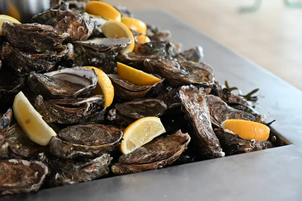 SB Traiteur — photo 7