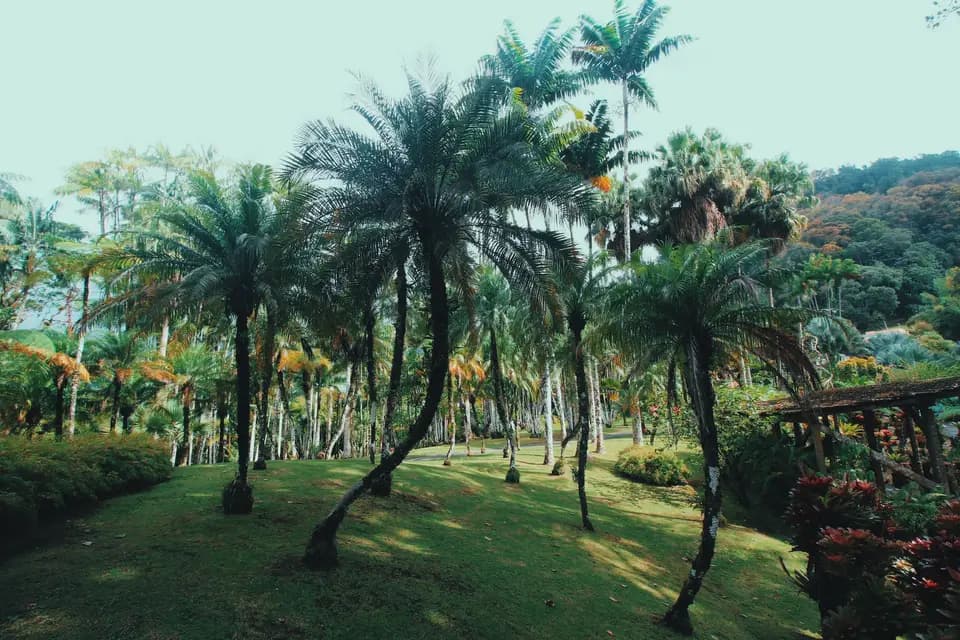 Un Temps pour Voyager — photo 1