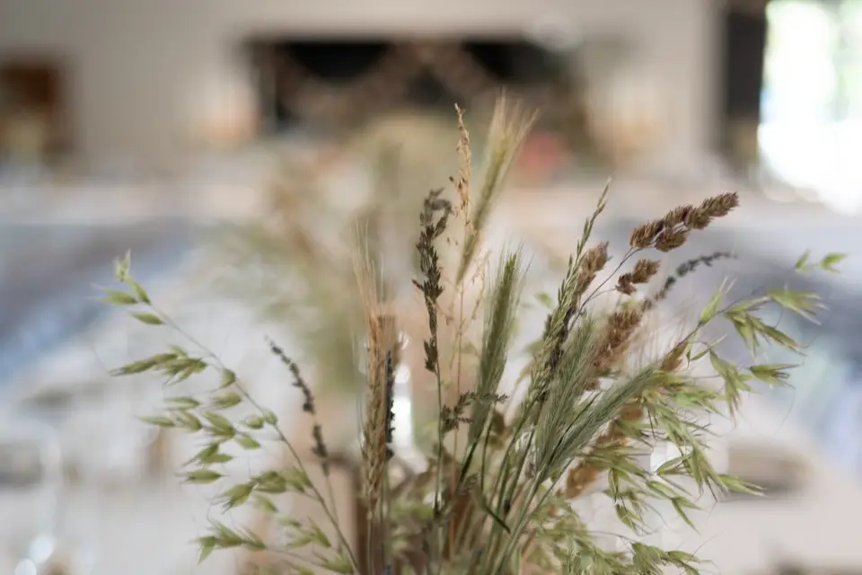 Laetitia Damas Photographie — photo 6