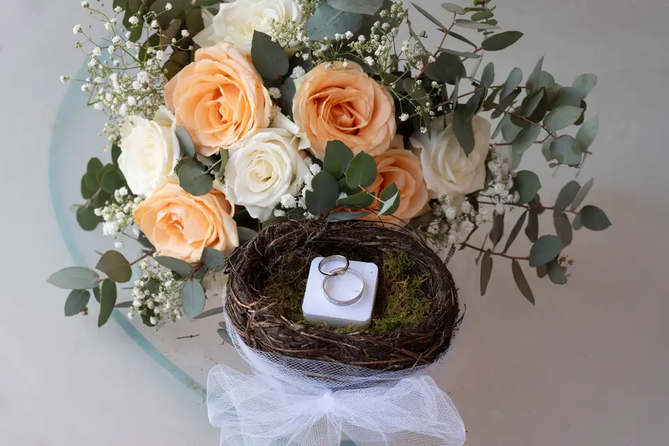 Laetitia Damas Photographie — photo 3