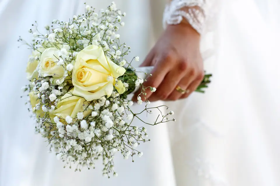 Studio Tivoli - Photographes et Vidéastes