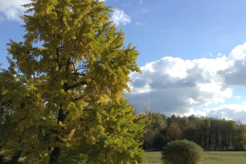 Château de Matel — photo 7