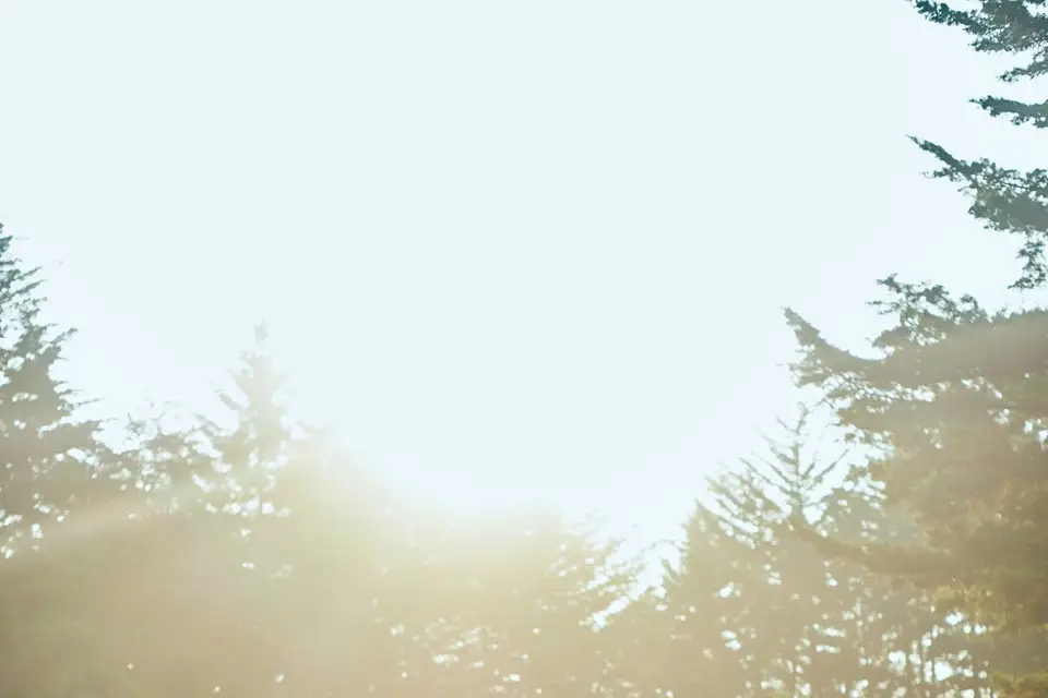 Luskan Yoga — photo 1