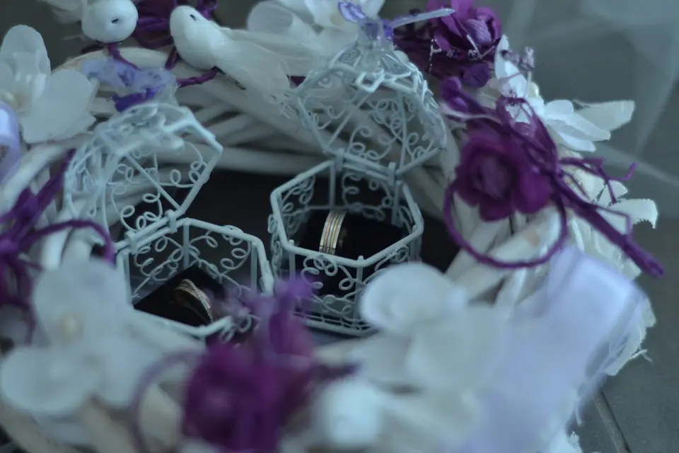 Organis'émoi — photo 4