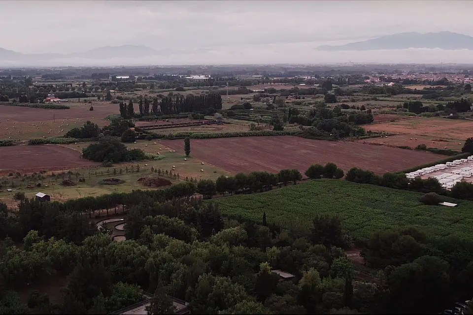 Nicolas Casas — photo 3