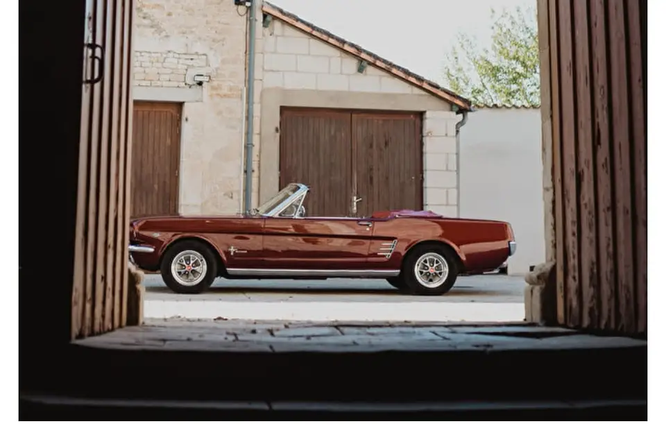 Audoin Franck — photo 1