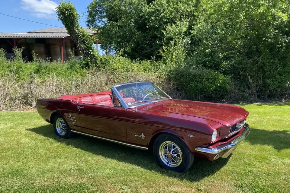 Audoin Franck — photo 2