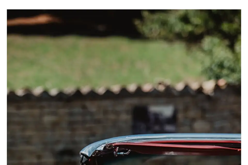 Audoin Franck — photo 6