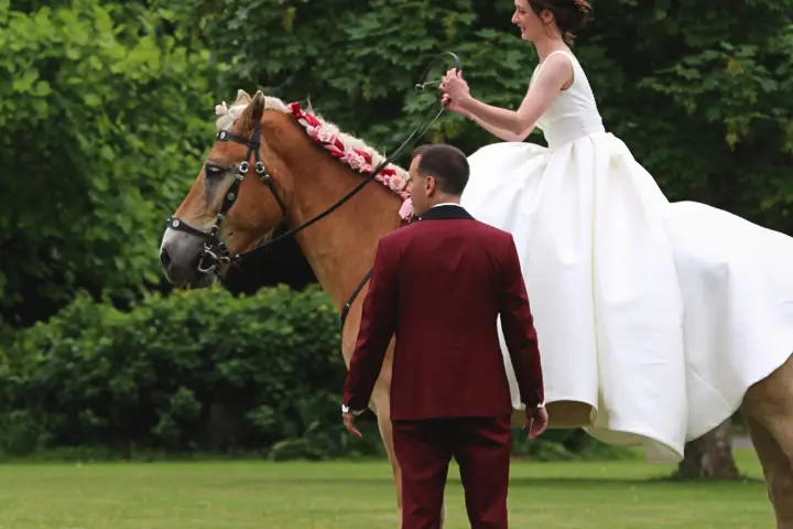 Château de Villeneuve — photo 5