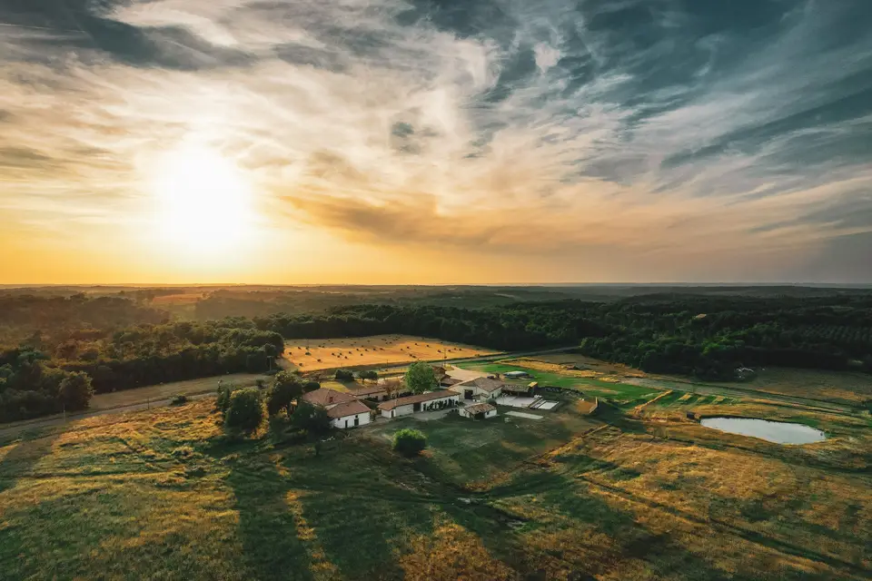 Plumebleue.Video — photo 4