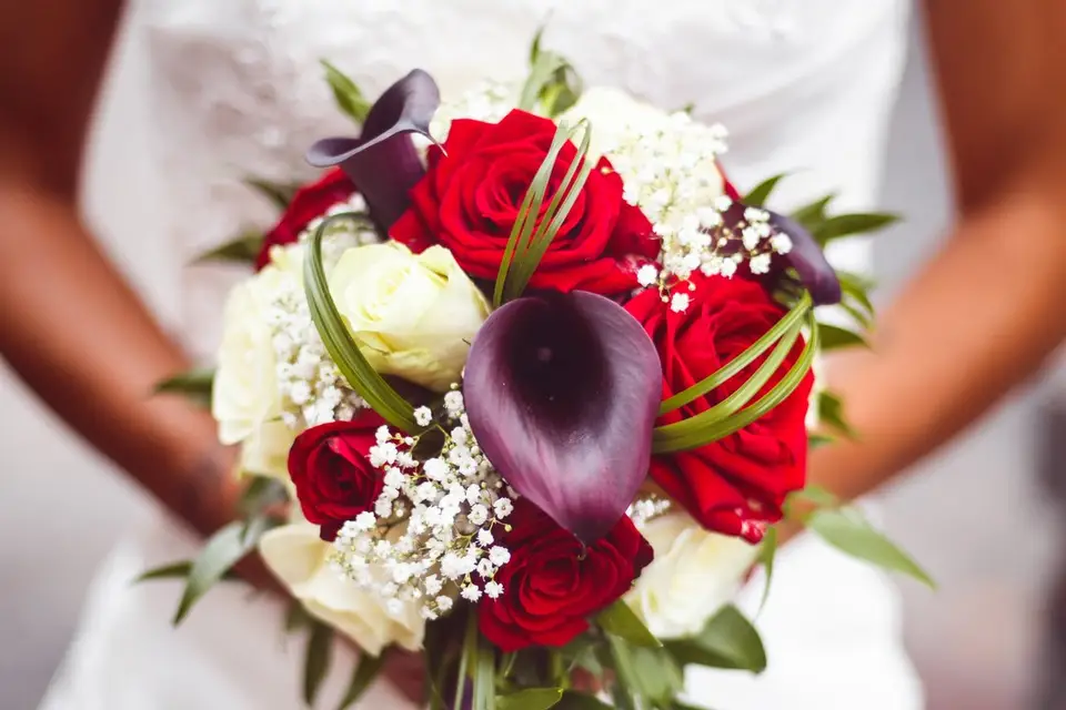 JSML Pix — photo 4