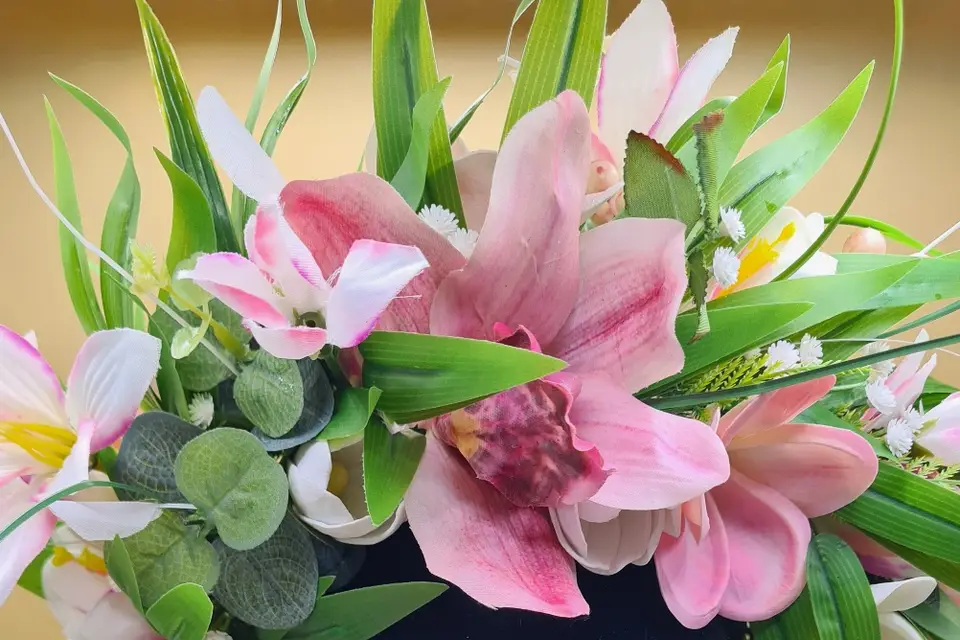 Pau et Motu — photo 5