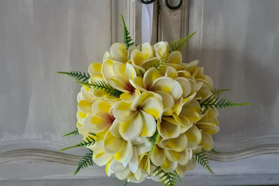 Pau et Motu — photo 4