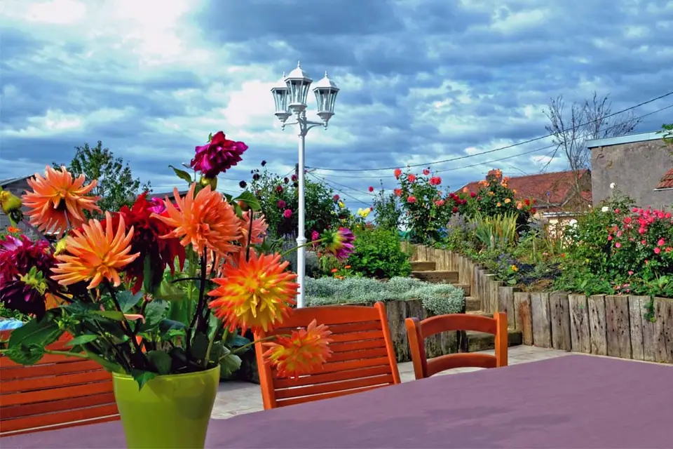 Ferme des 3 Suissesses — photo 8