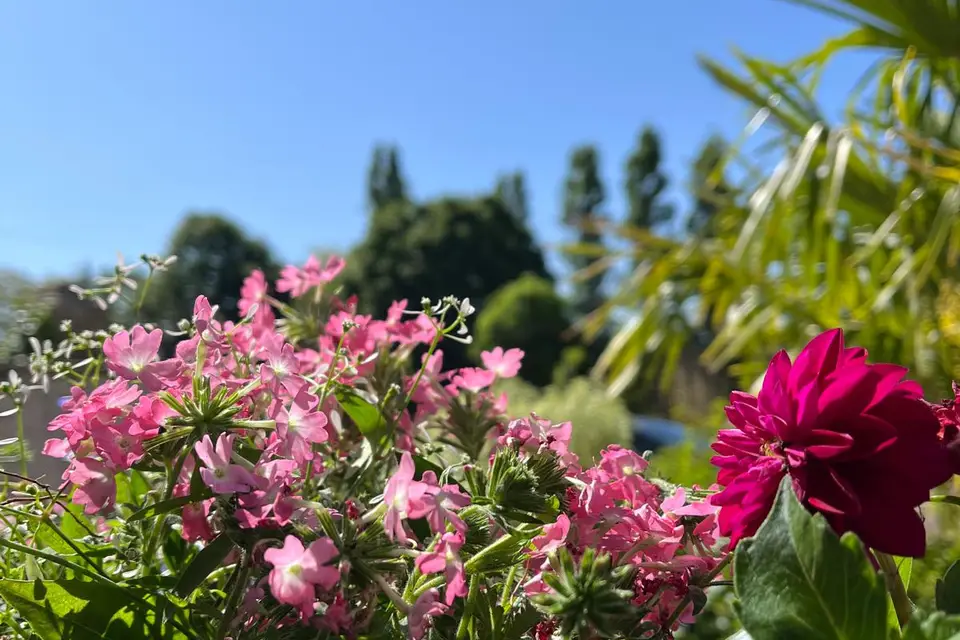 Domaine de Chapeau — photo 3