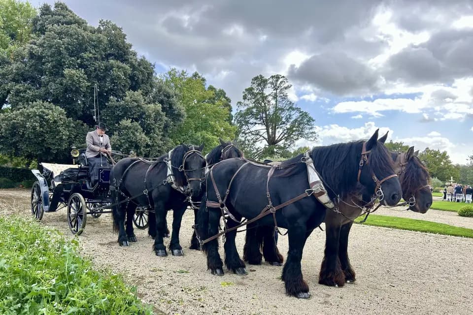 Biodiversitrait — photo 8