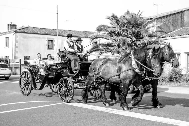 Biodiversitrait — photo 7