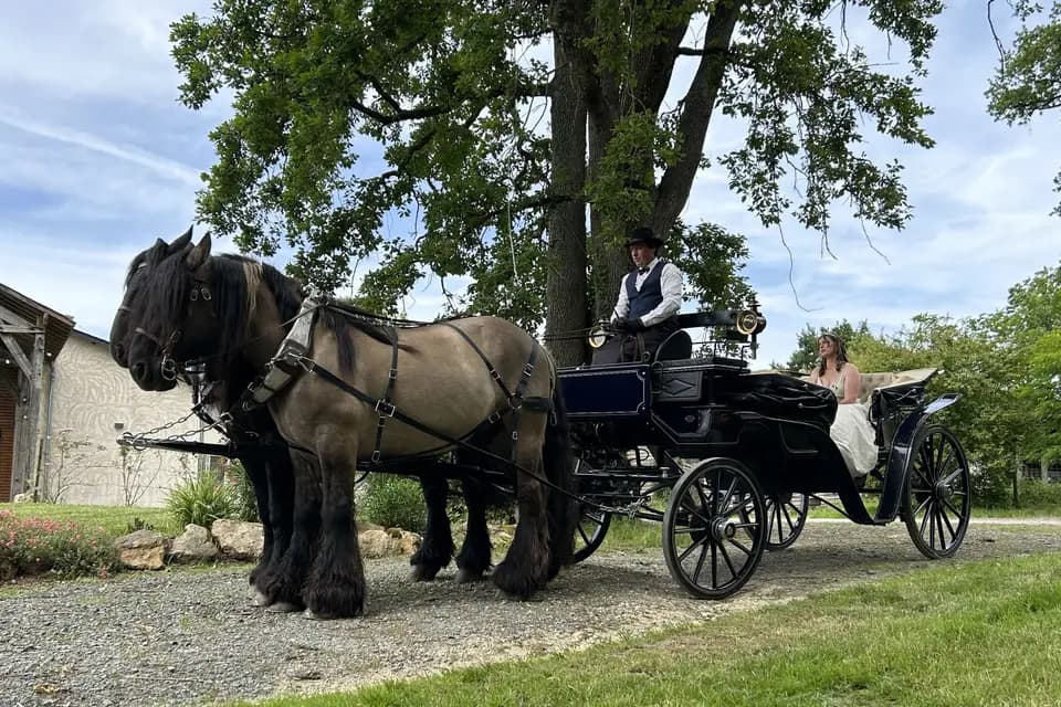 Biodiversitrait — photo 4