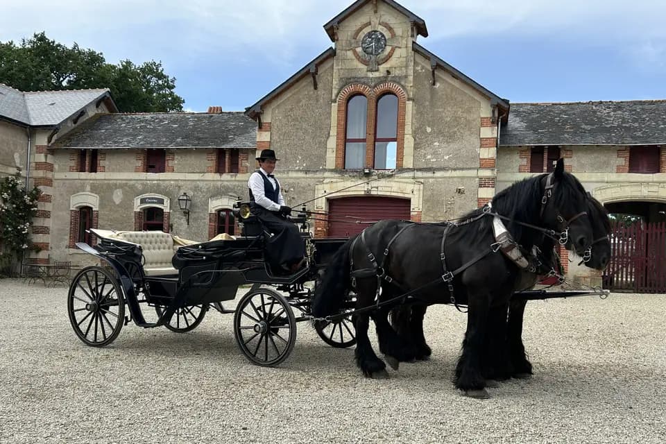 Biodiversitrait — photo 5