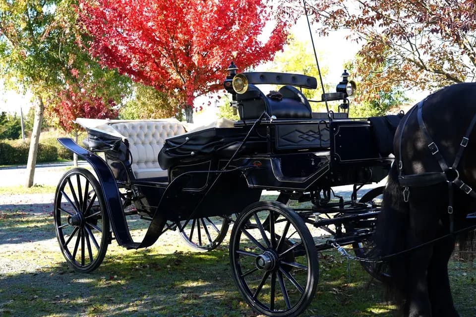 Biodiversitrait — photo 6