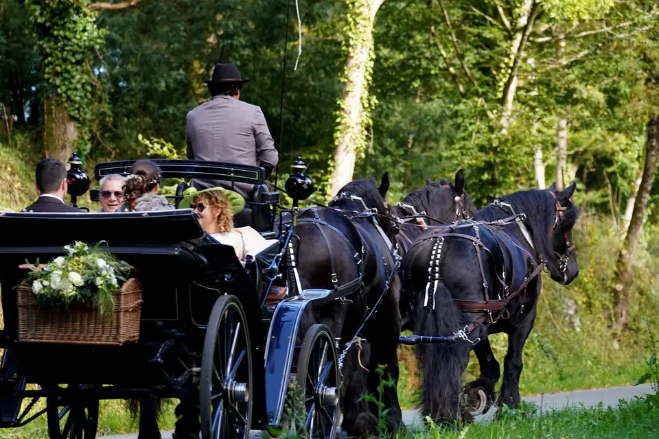 Biodiversitrait — photo 1