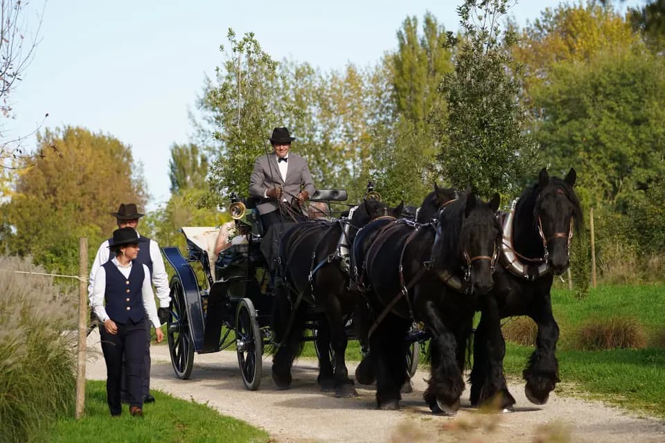 Biodiversitrait — photo 2