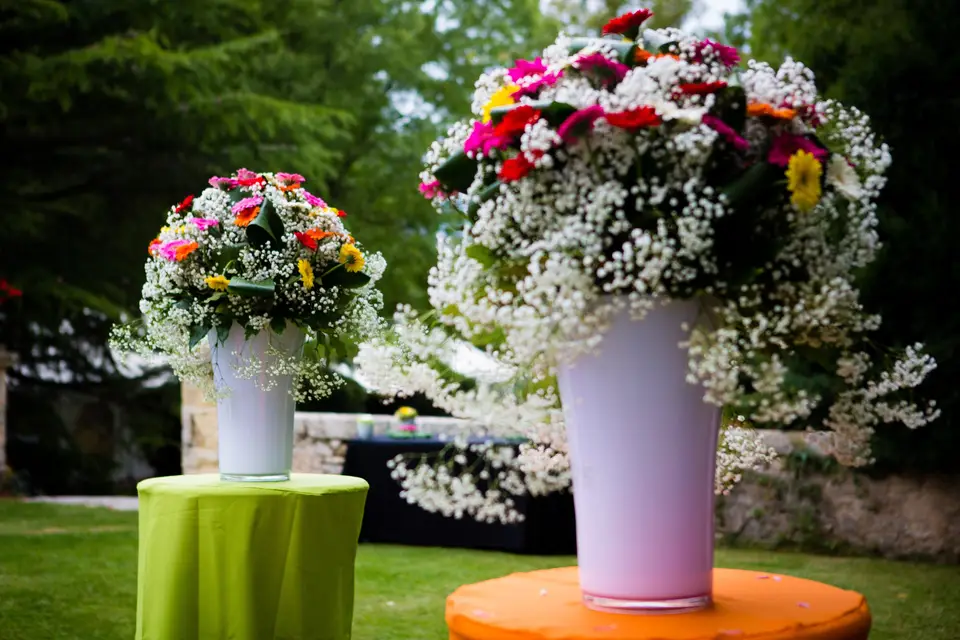 Joce Designer — photo 5