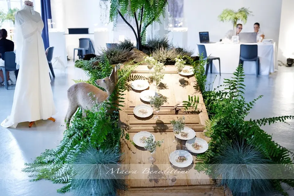 Les Éphémères Design — photo 5