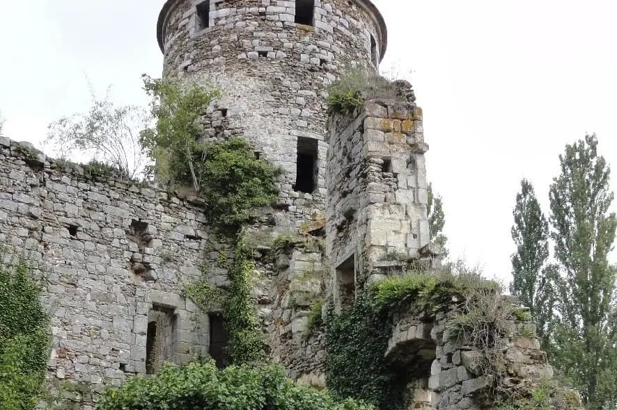 Les Éphémères Design — photo 7