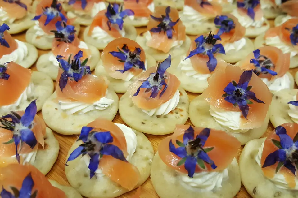 BIOriginal — photo 3