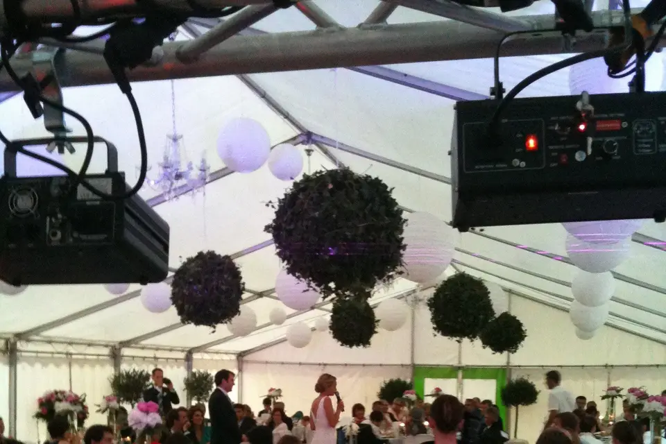 Wedding Party — photo 2