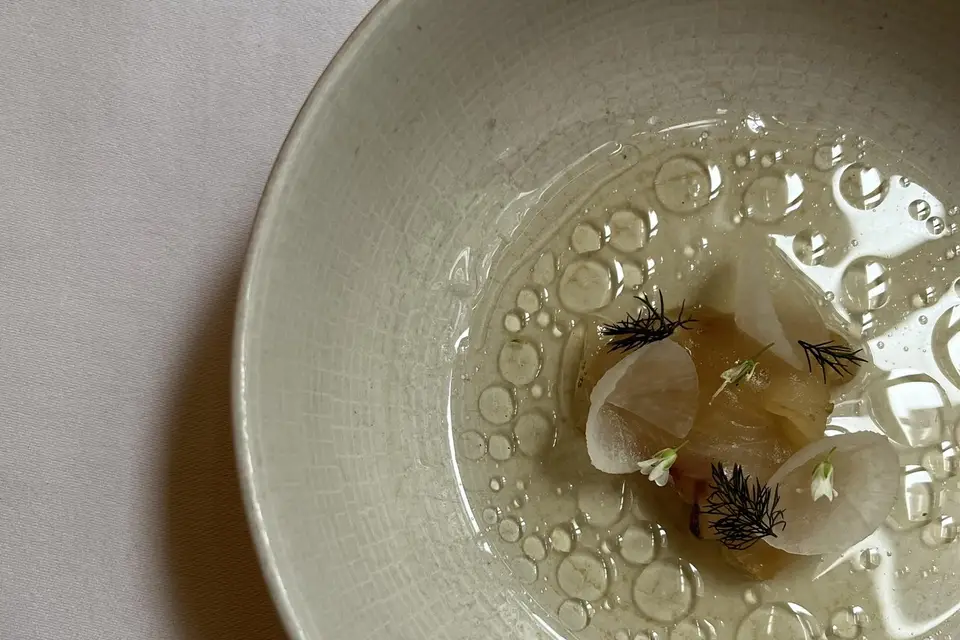 Sapidity — photo 6