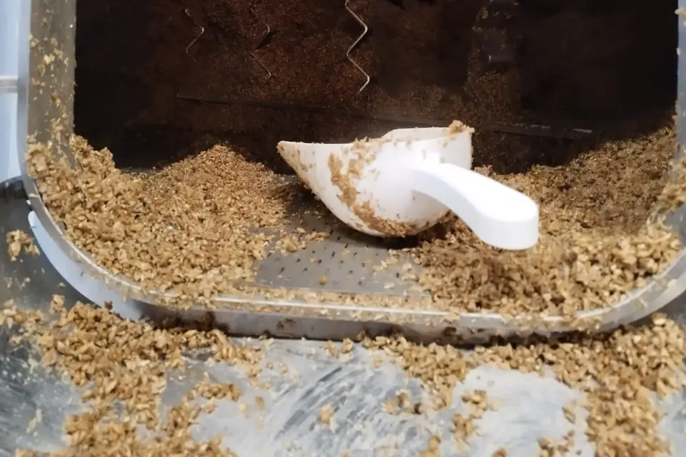 Brasserie Melt — photo 1