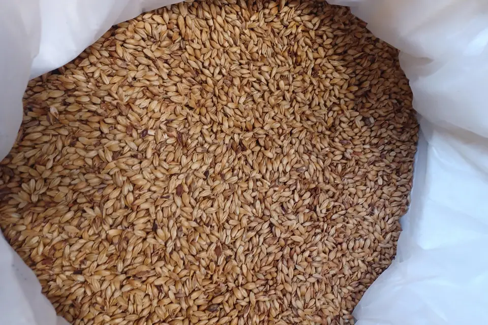 Brasserie Melt — photo 2