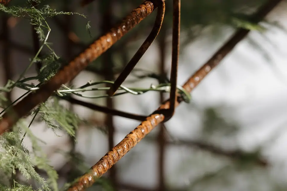 Atypical Dreams — photo 7