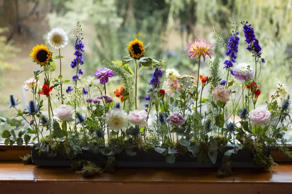 Atypical Dreams — photo 5