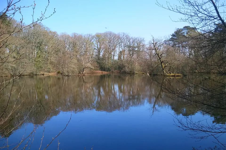 Domaine de Thiemay — photo 5