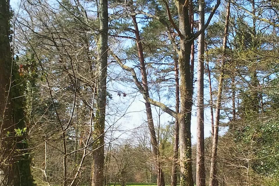 Domaine de Thiemay — photo 4