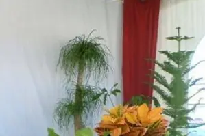 Jard'interieur — photo 6