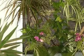 Jard'interieur — photo 7