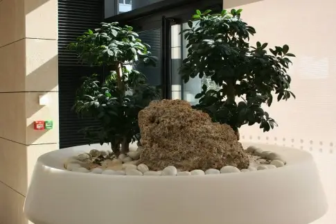 Jard'interieur — photo 3