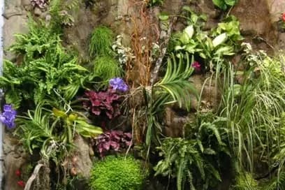 Jard'interieur — photo 4