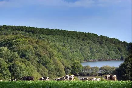 Manoir de Randrecard — photo 2