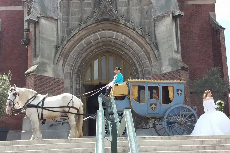 Écurie Huguet — photo 4