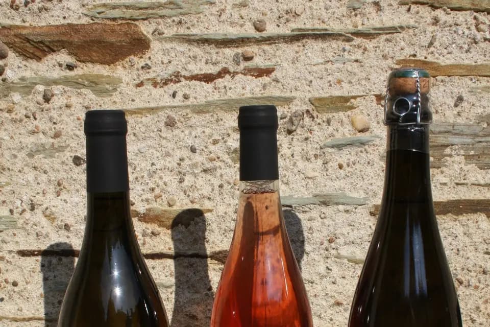 13 Cent 20 — photo 5