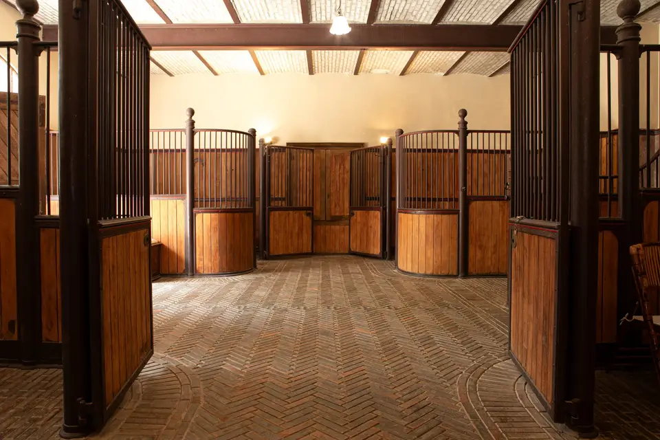 Château de la Bretonnière — photo 7