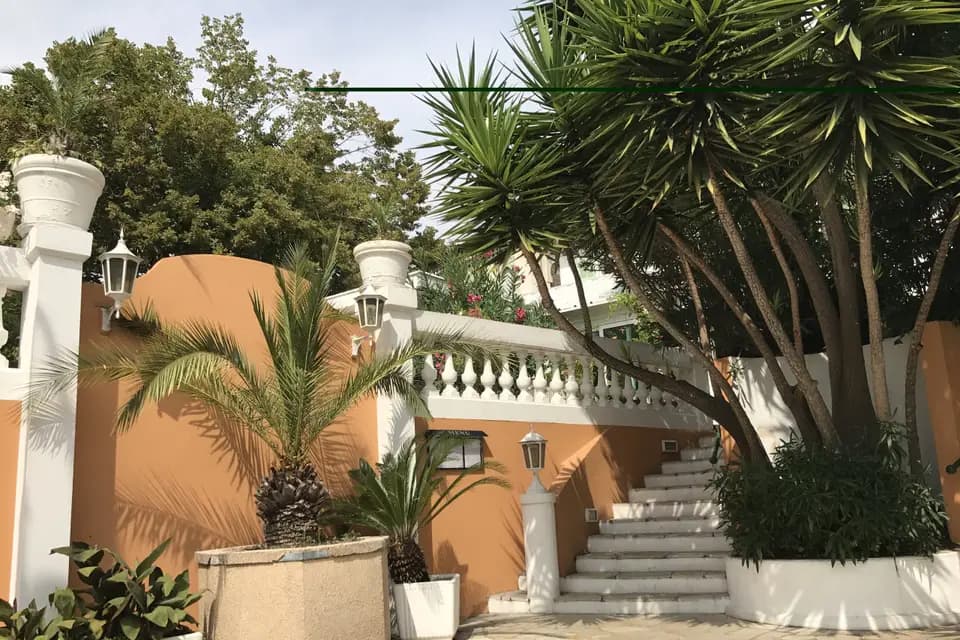 Villa Les Palmiers — photo 4