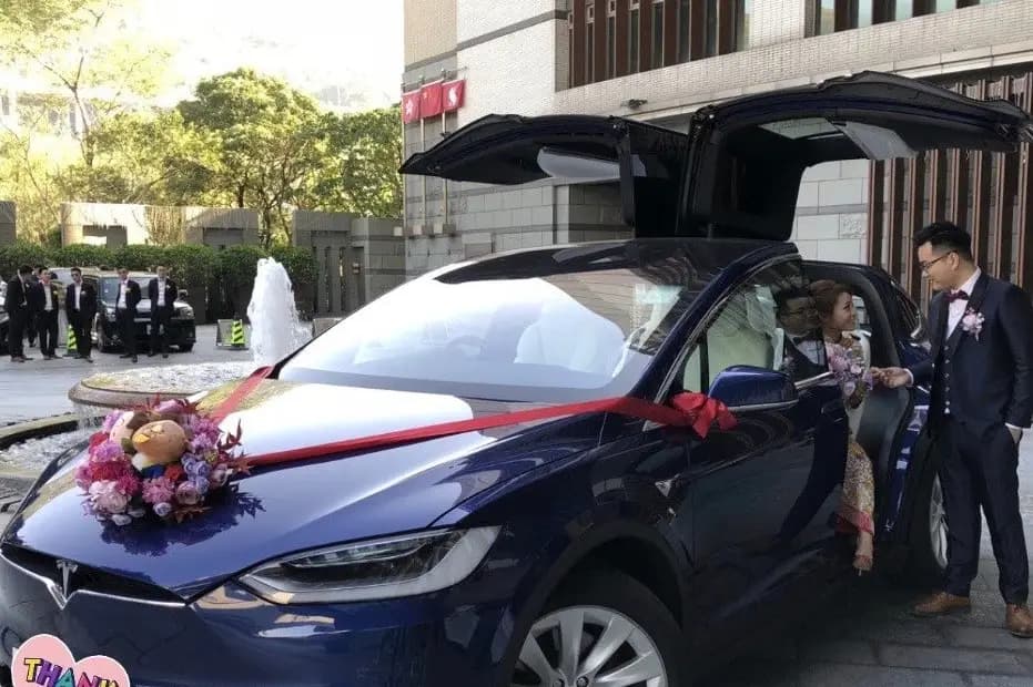 Lannister Transport — photo 8