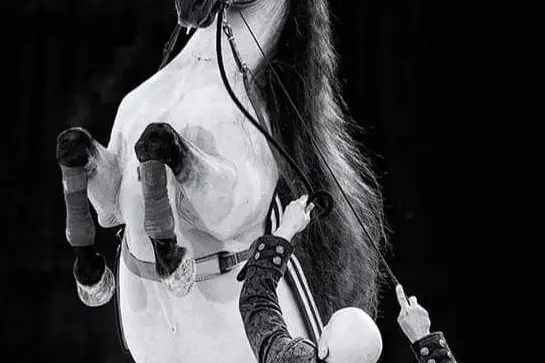 Fire Horse Show — photo 2